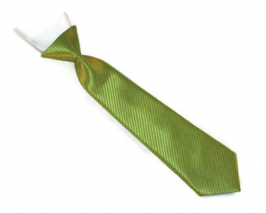 Dunpillo Dětská kravata Mini, 21 cm - odstíny zelené