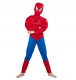 Dětský kostým Svalnatý Spiderman 110-122 M